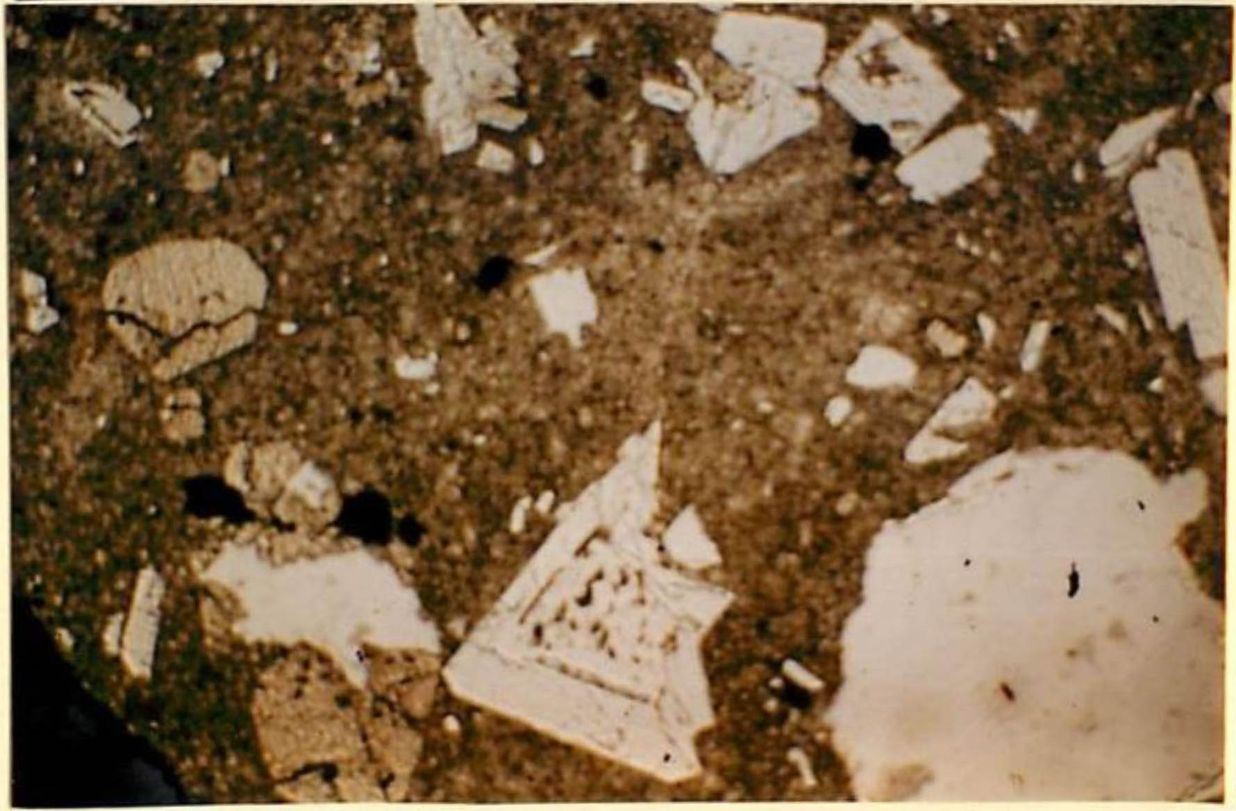 thin section image 2