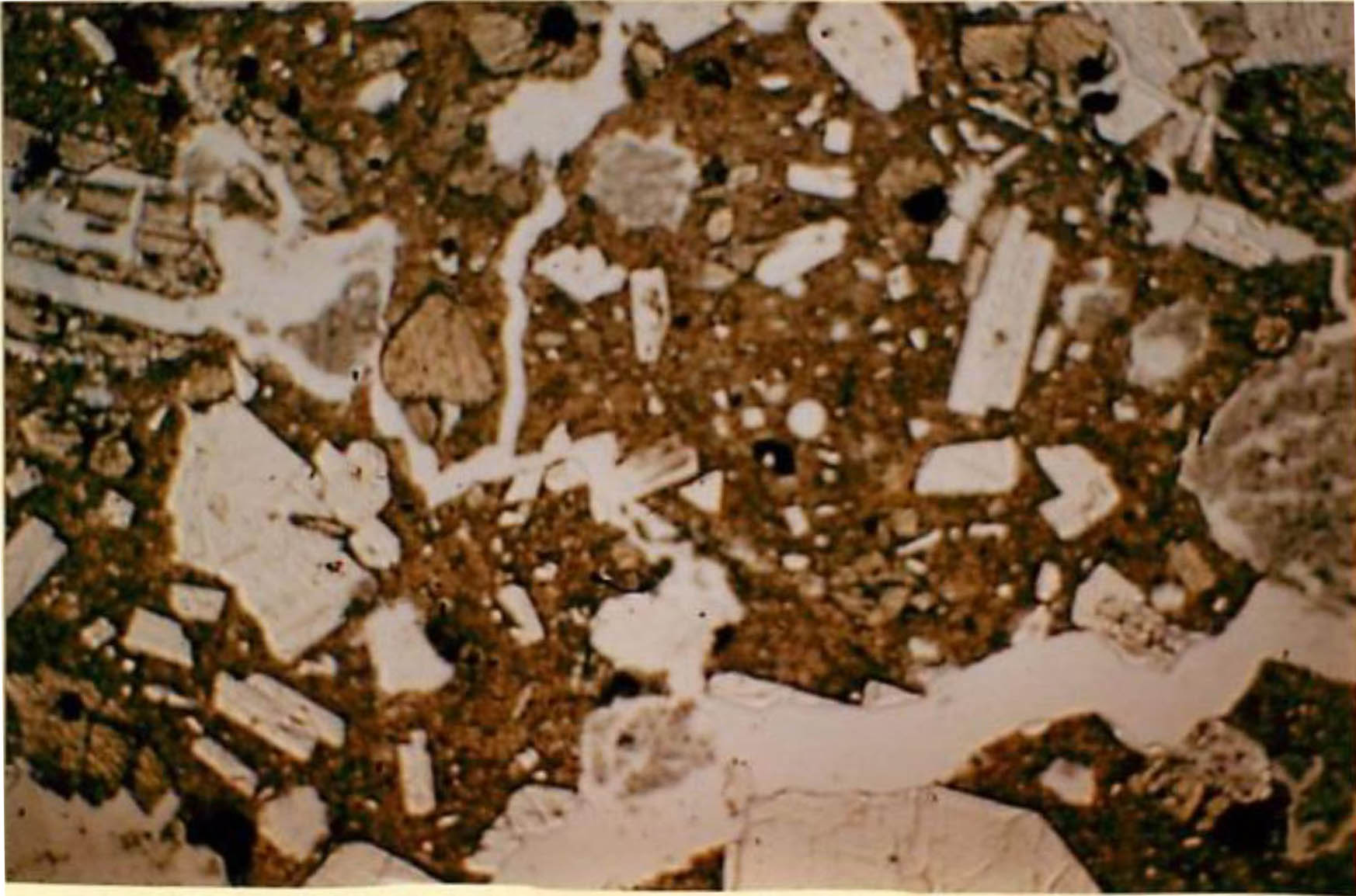 thin section image 2