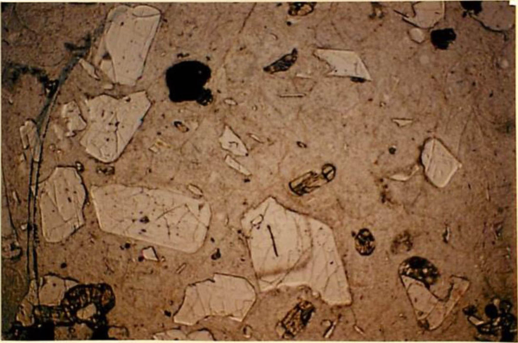 thin section image 2