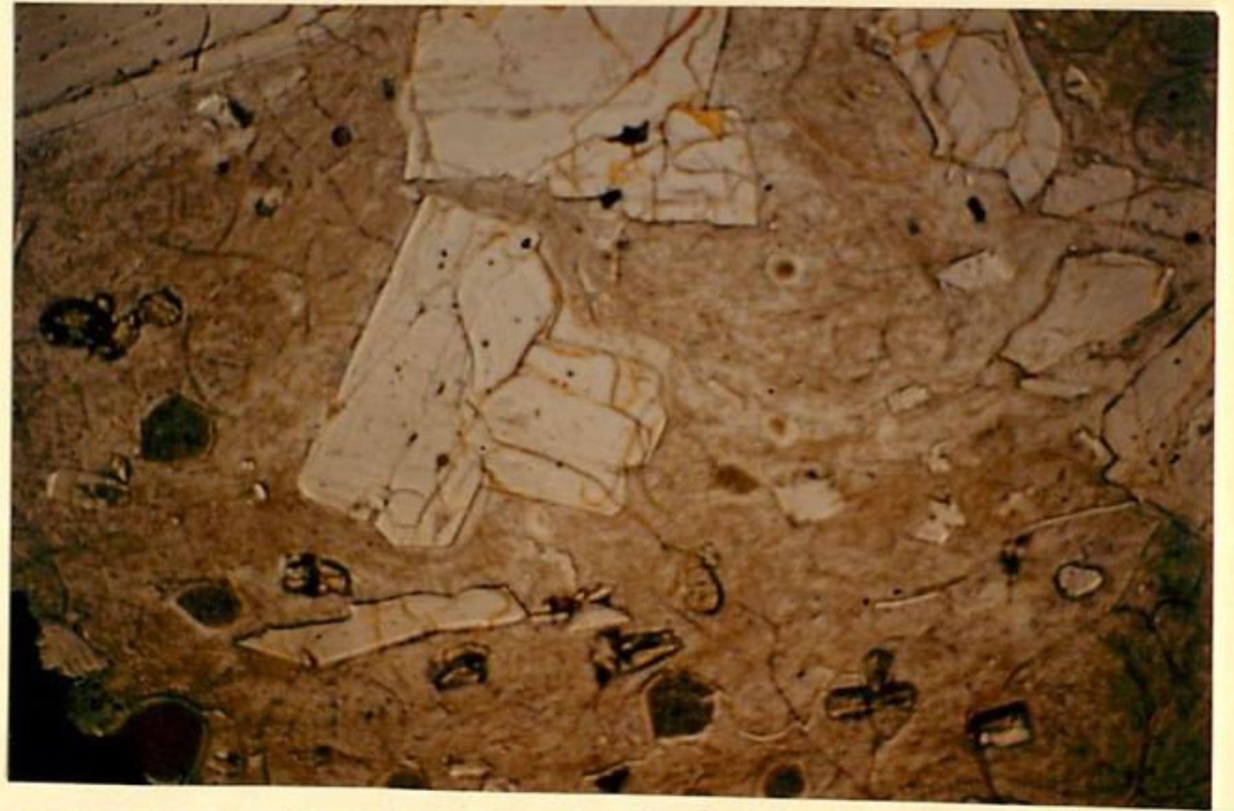 thin section image 2