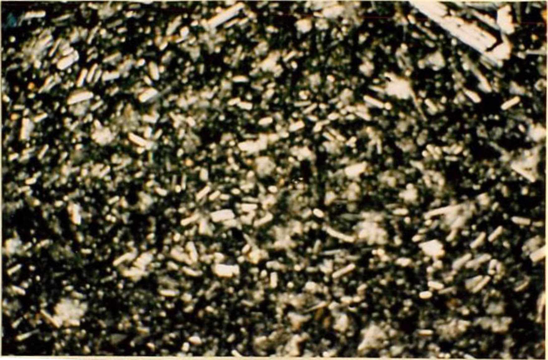thin section image 1