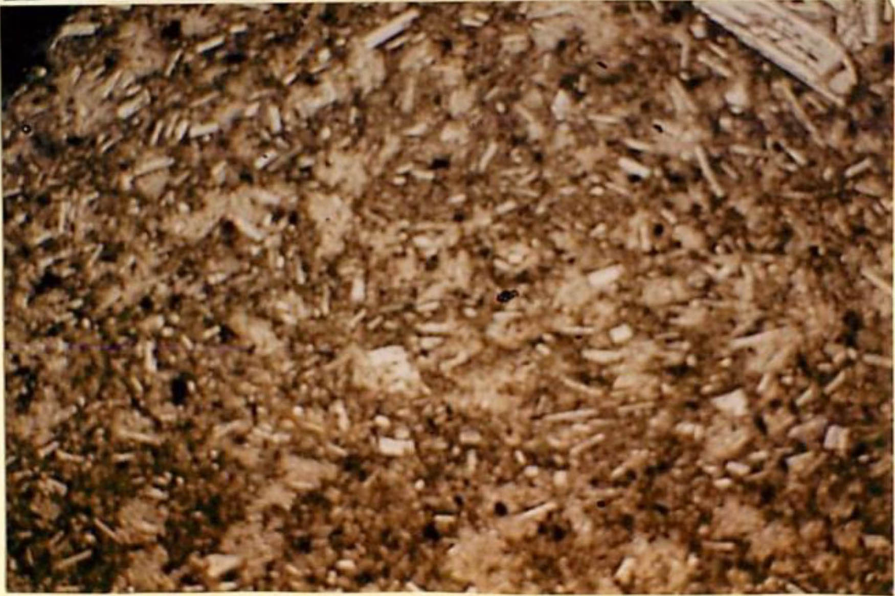 thin section image 2