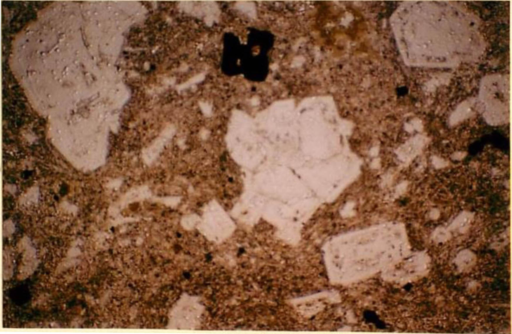 thin section image 2