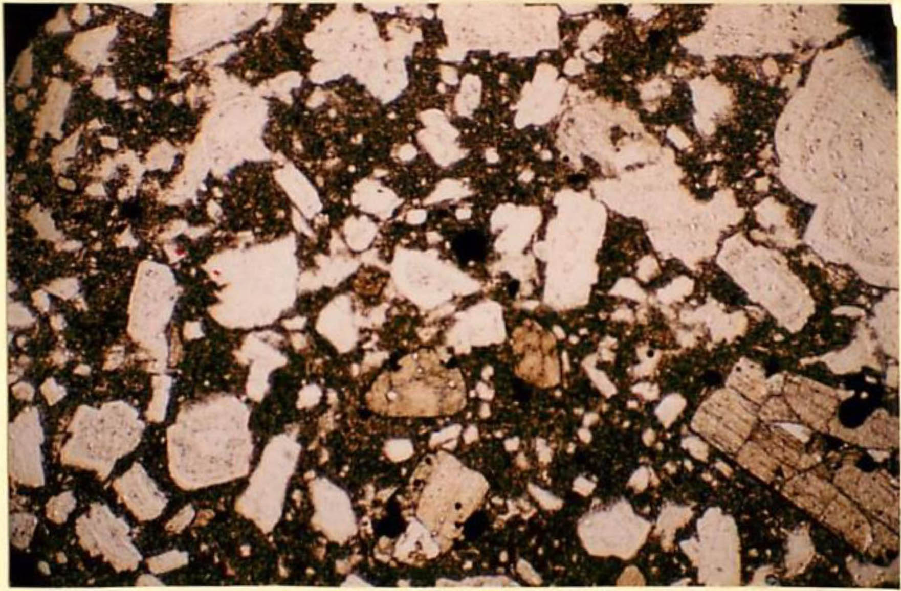 thin section image 2