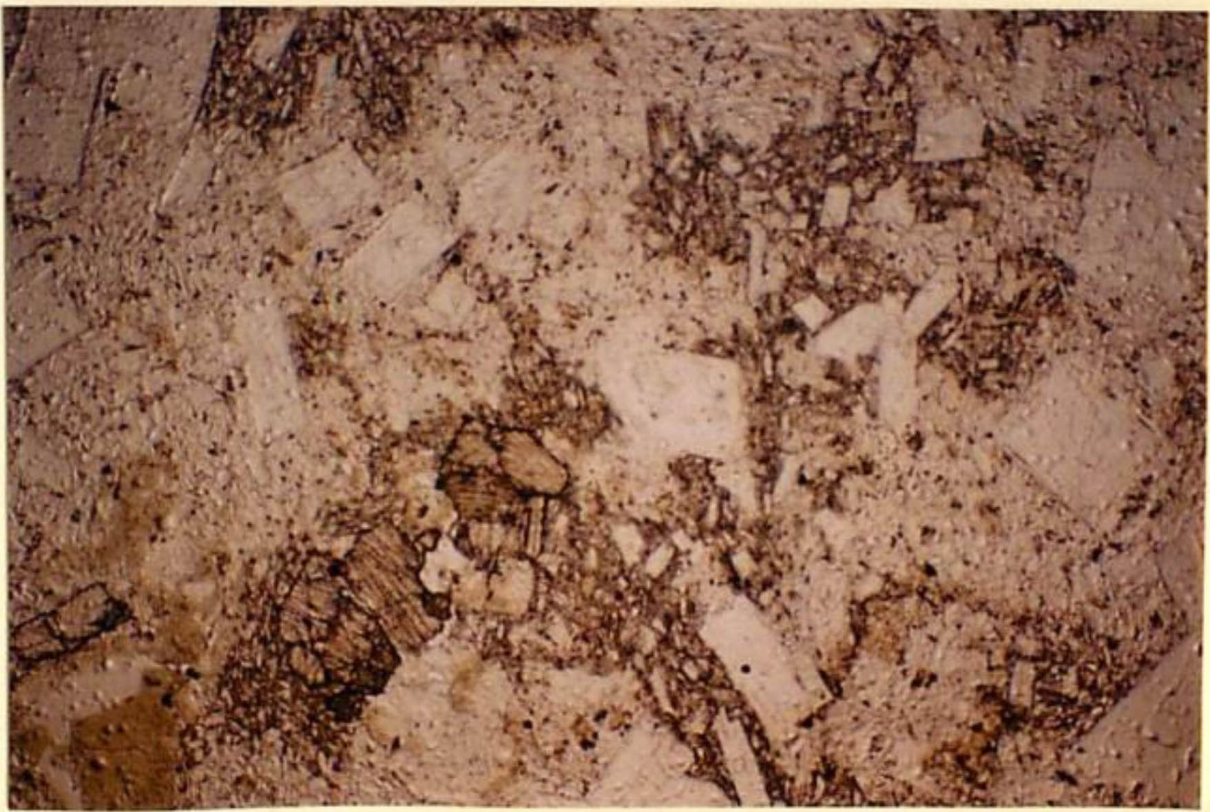 thin section image 2