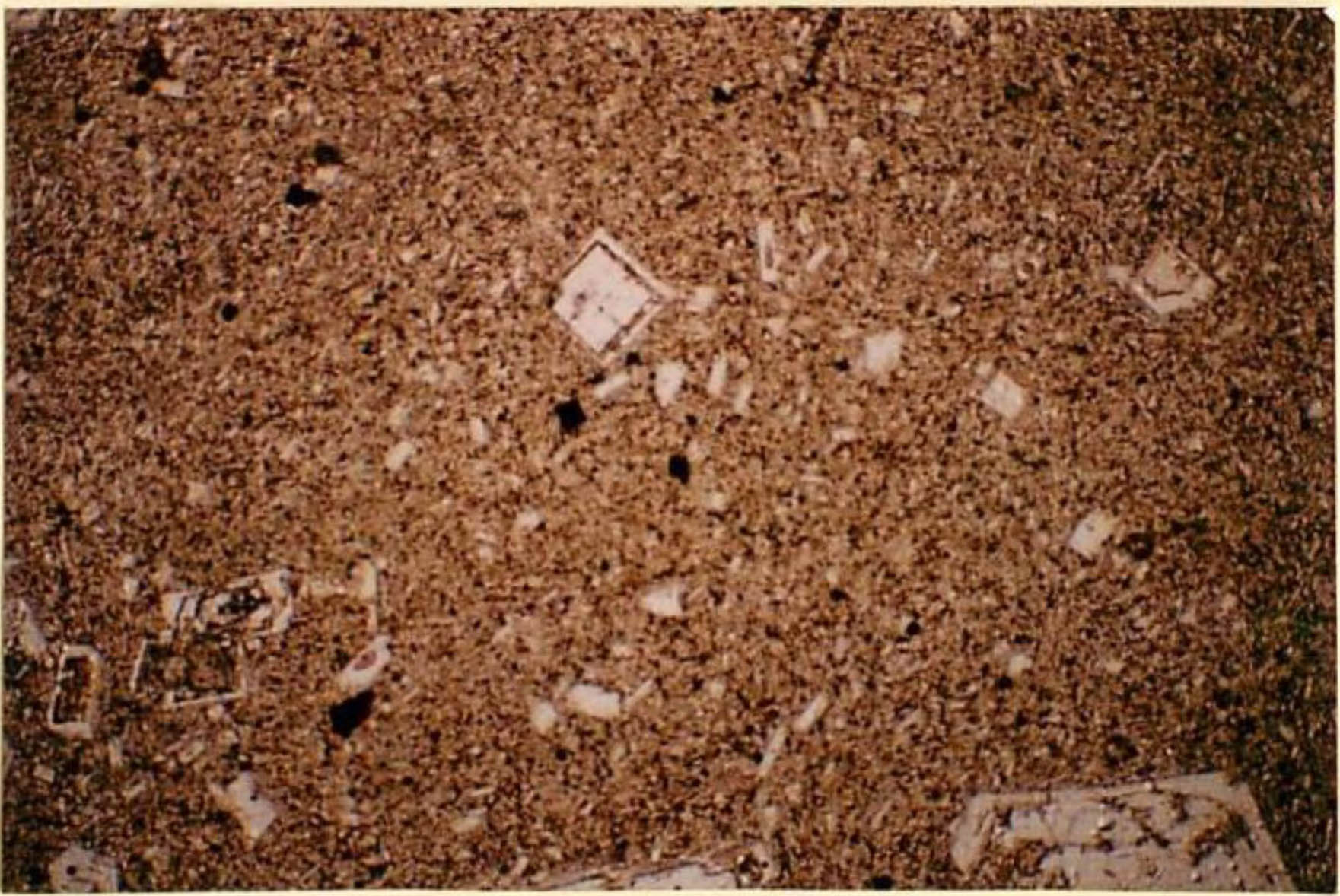 thin section image 2