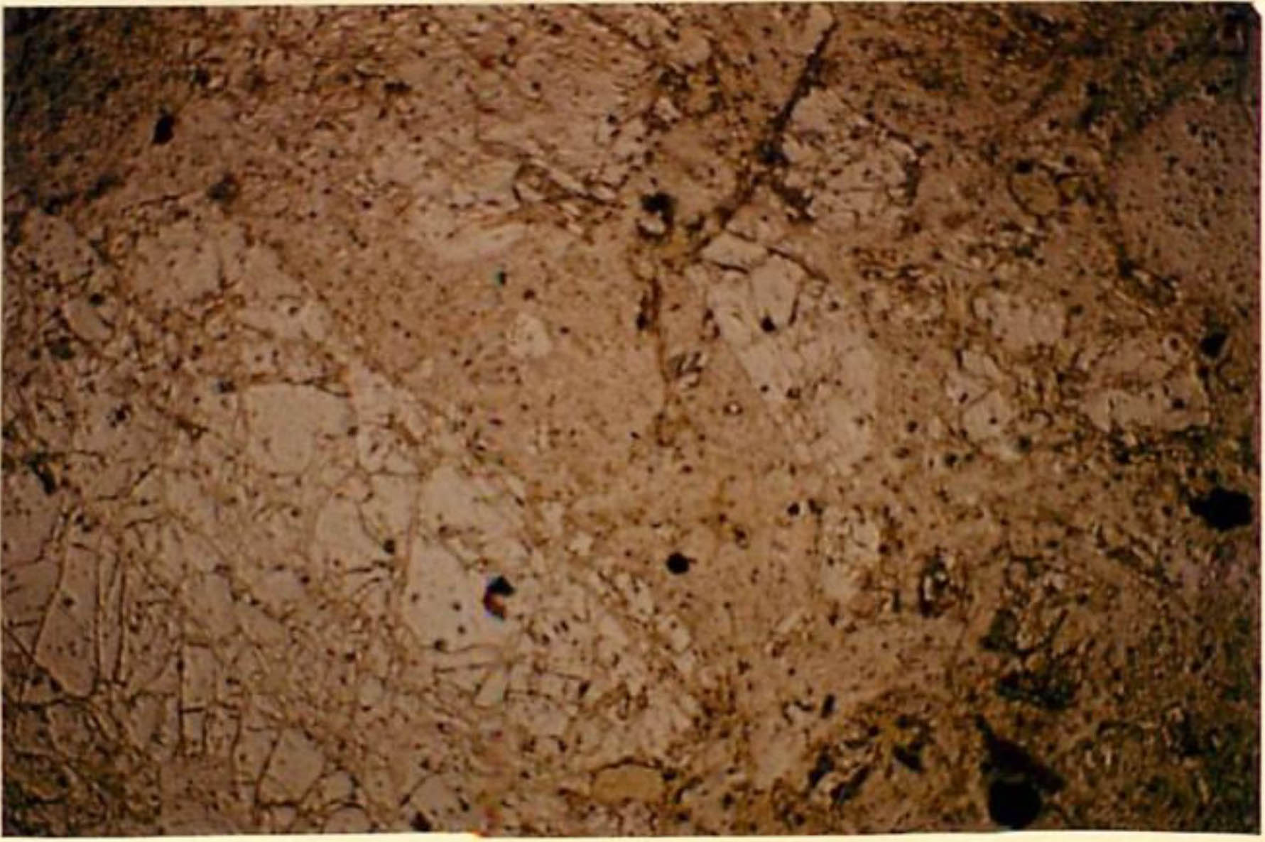 thin section image 2