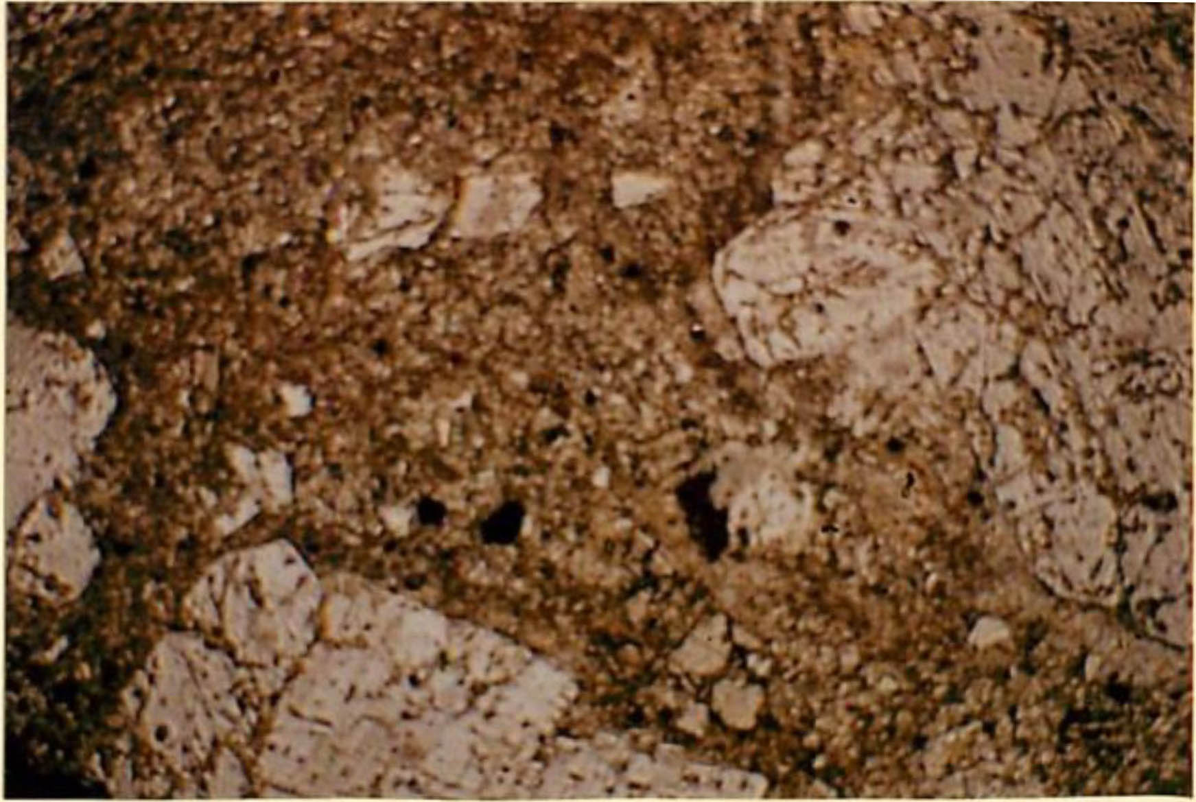 thin section image 2