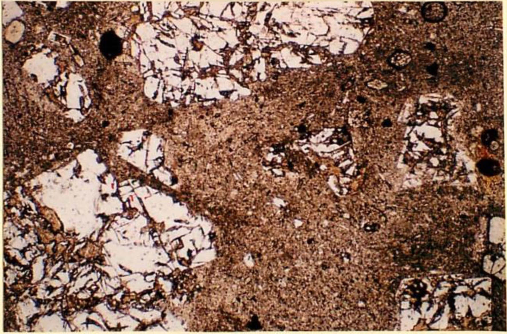 thin section image 2
