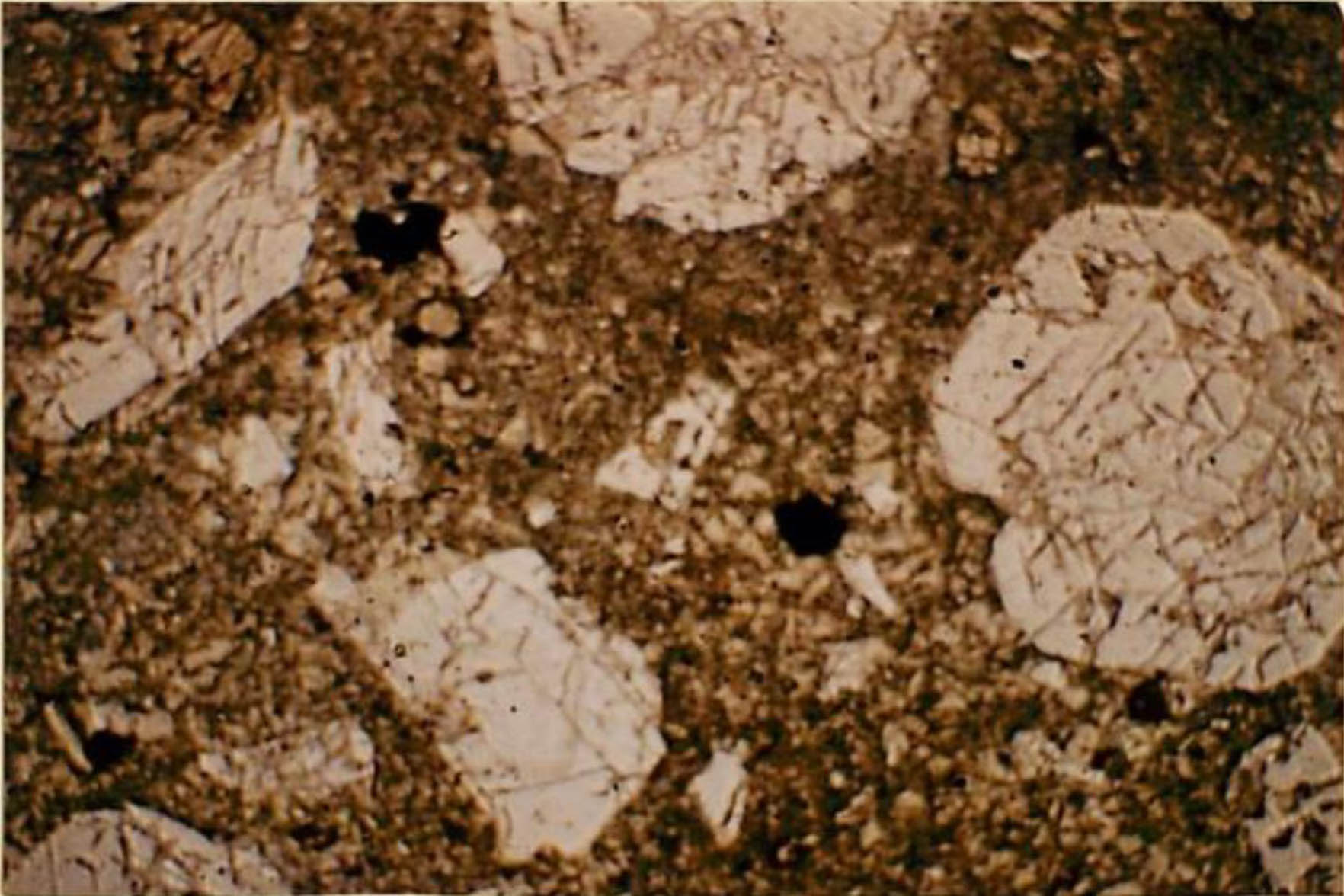 thin section image 2