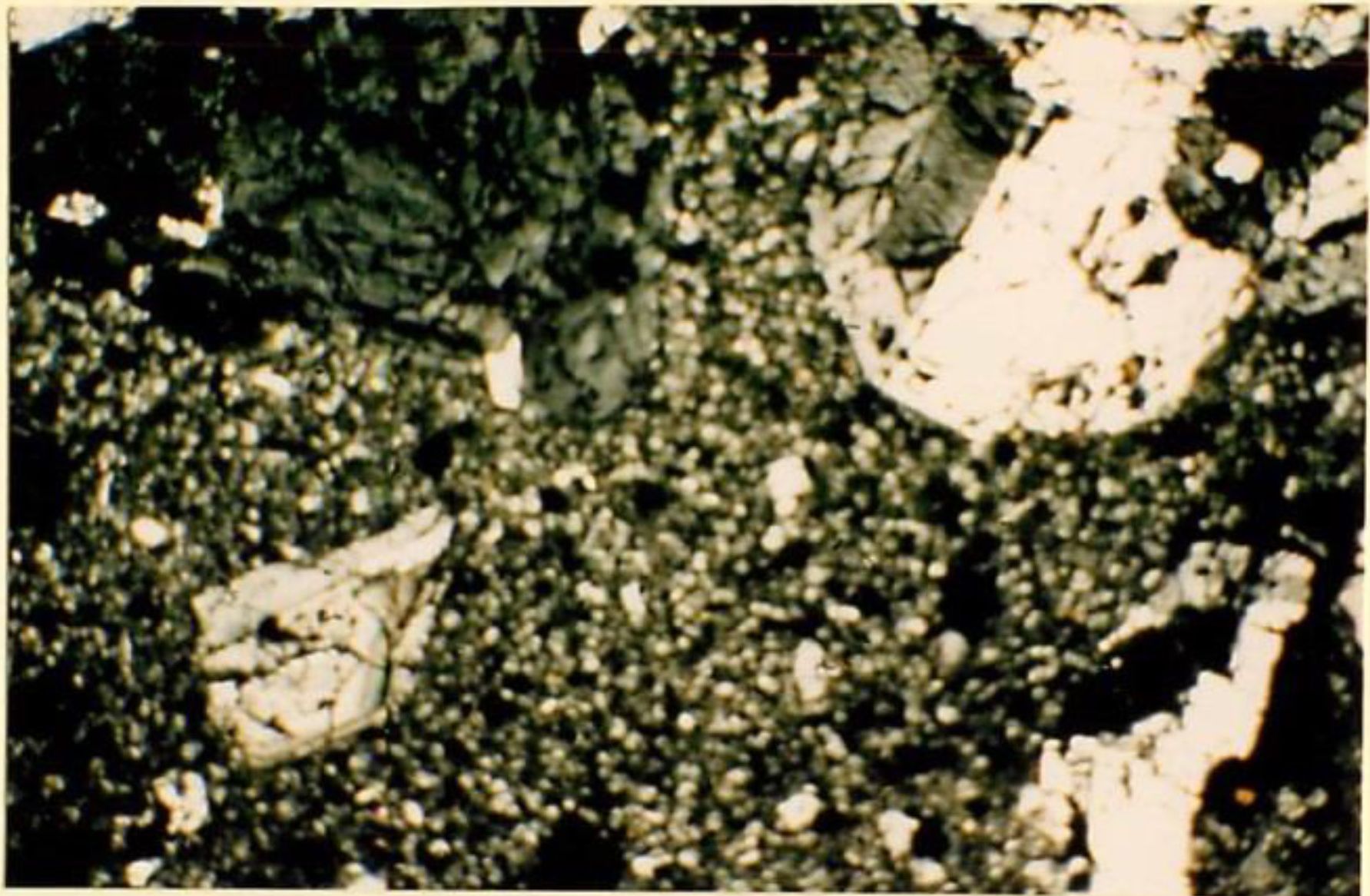 thin section image 1