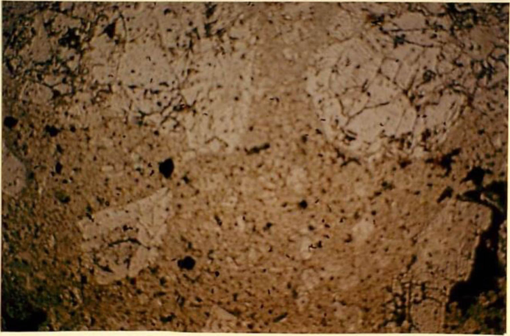 thin section image 2