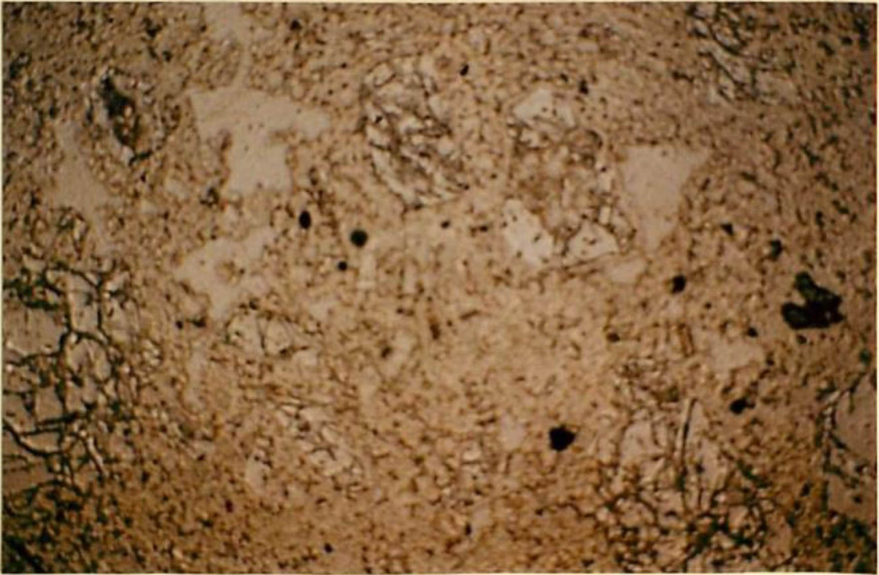 thin section image 2