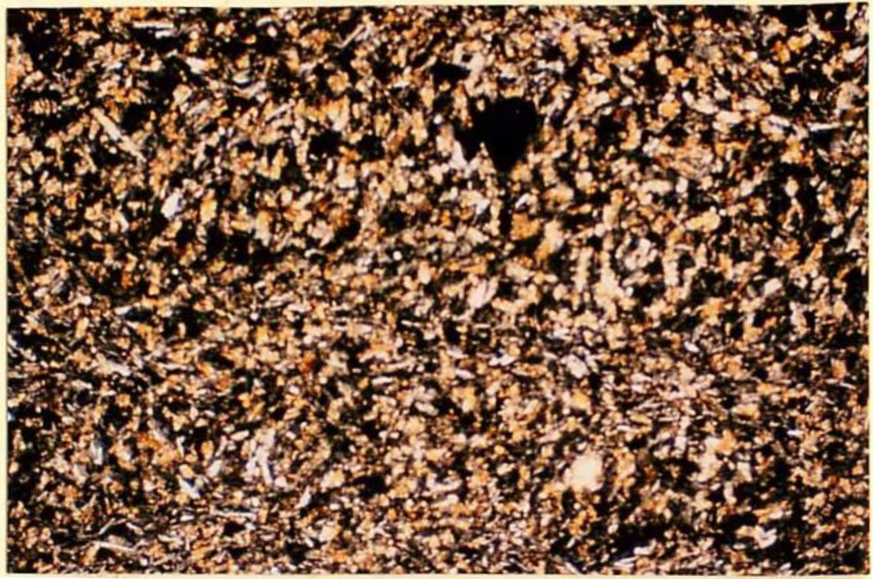 thin section image 1