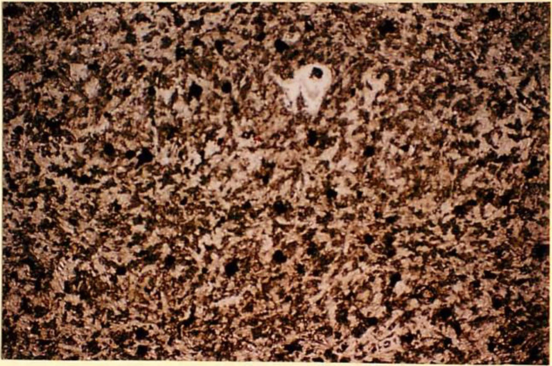 thin section image 2