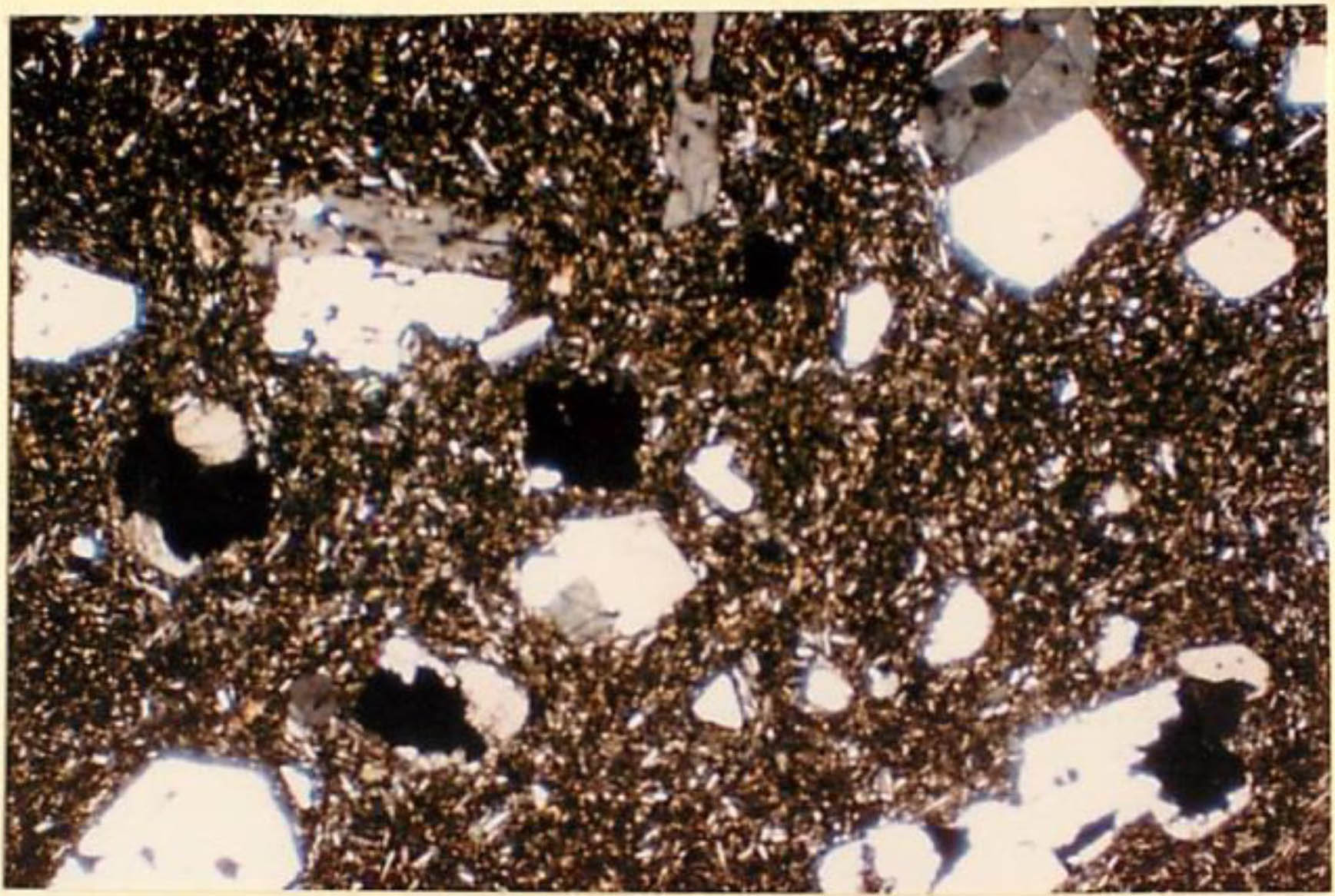 thin section image 1