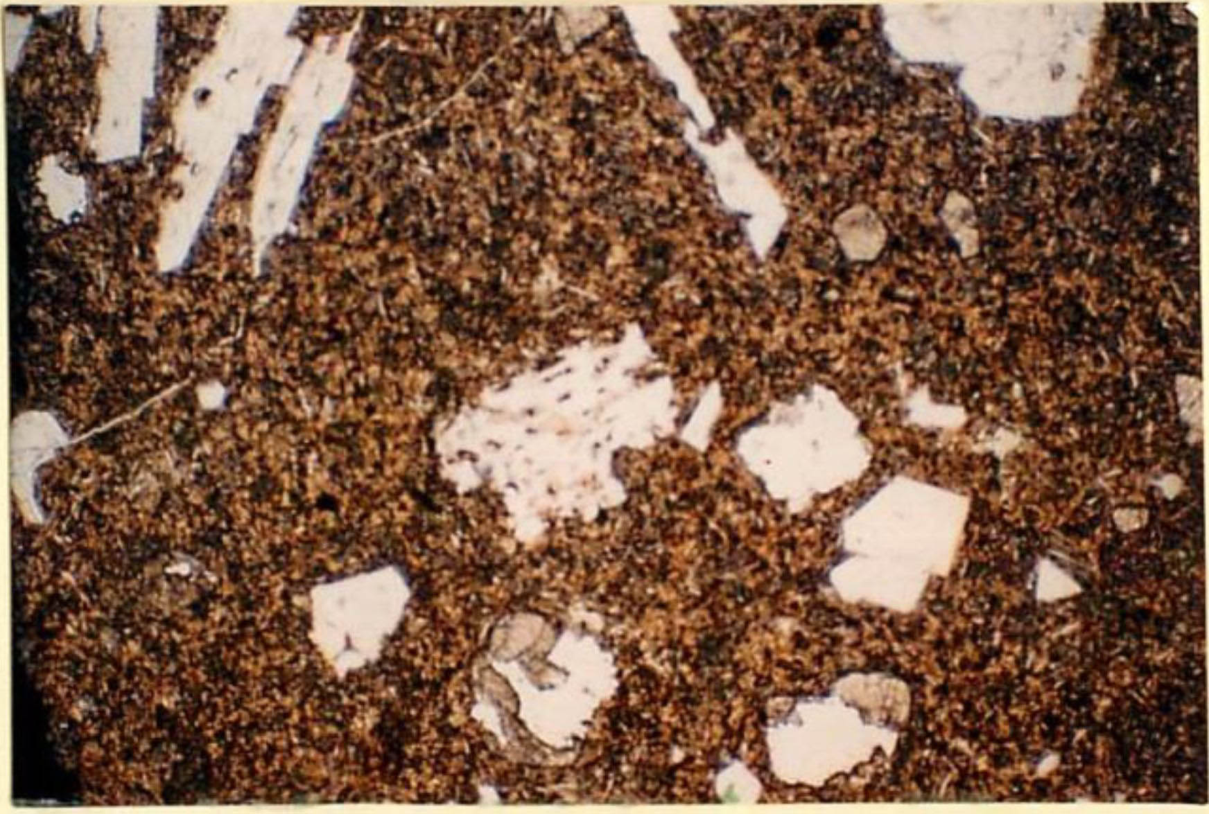 thin section image 2