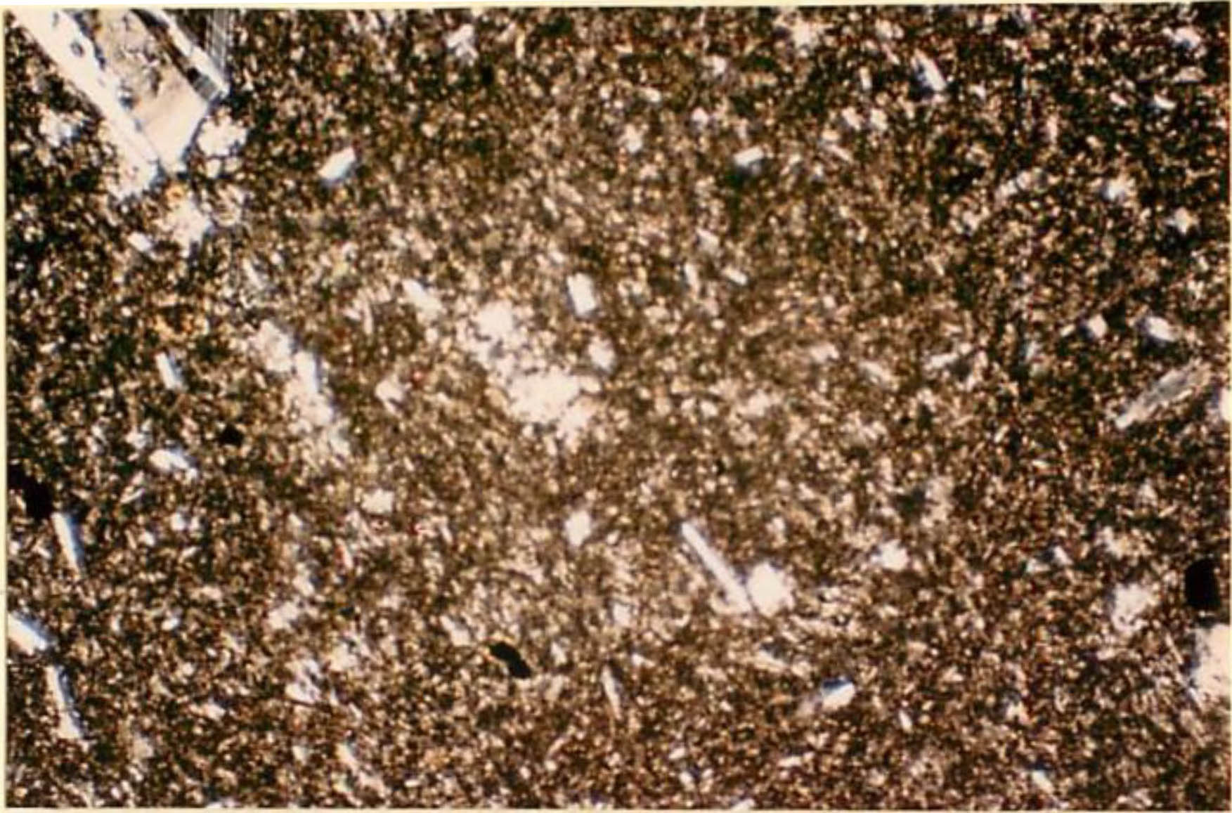 thin section image 1