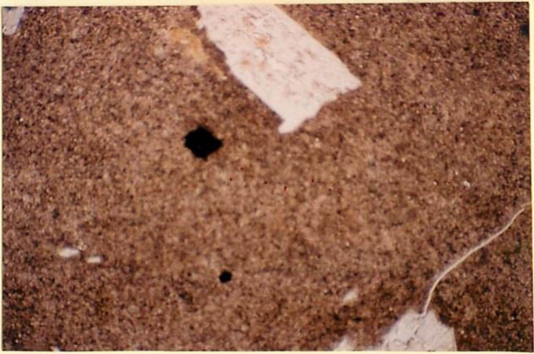 thin section image 2