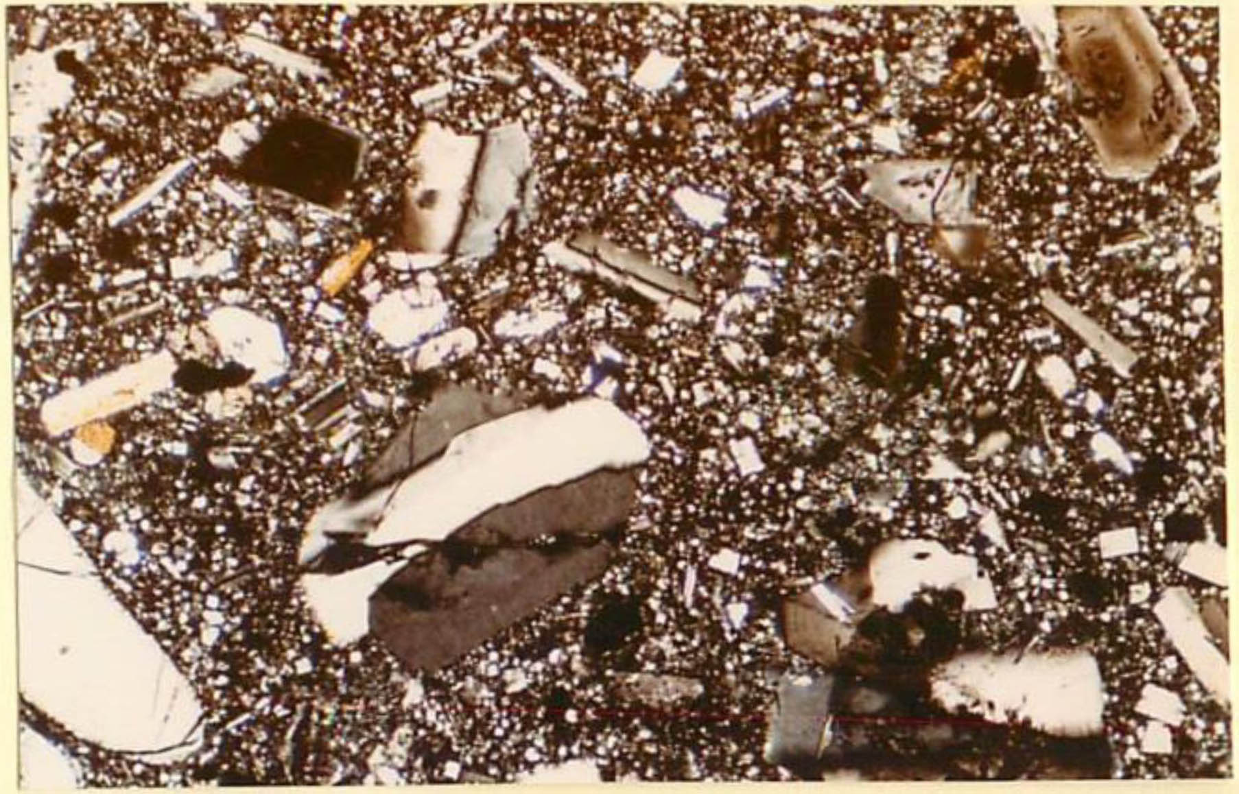 thin section image 1