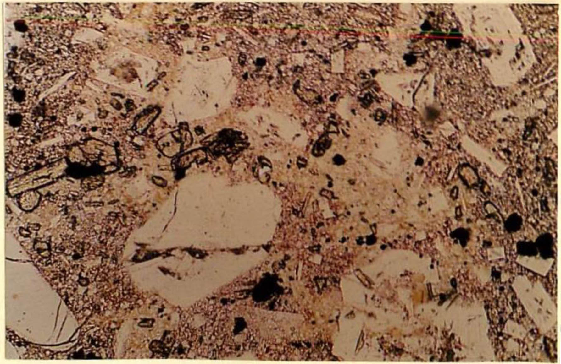 thin section image 2
