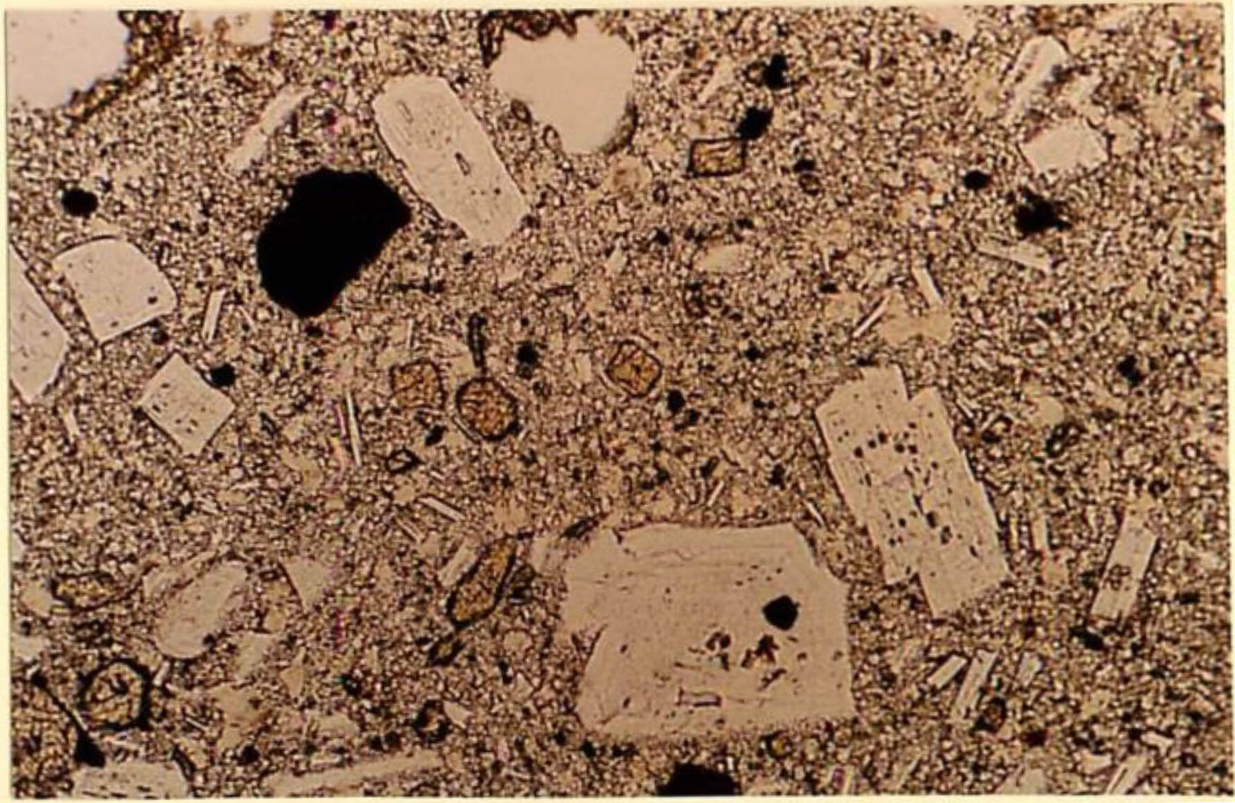thin section image 2