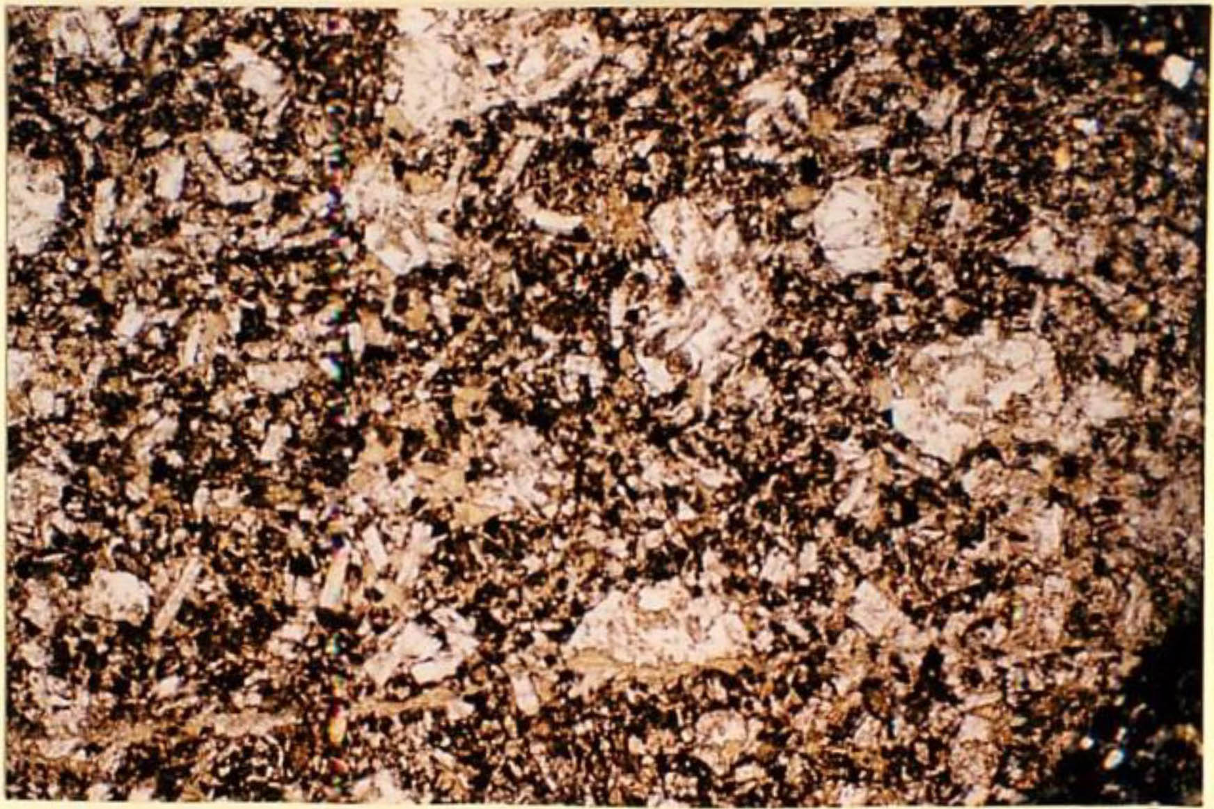 thin section image 2