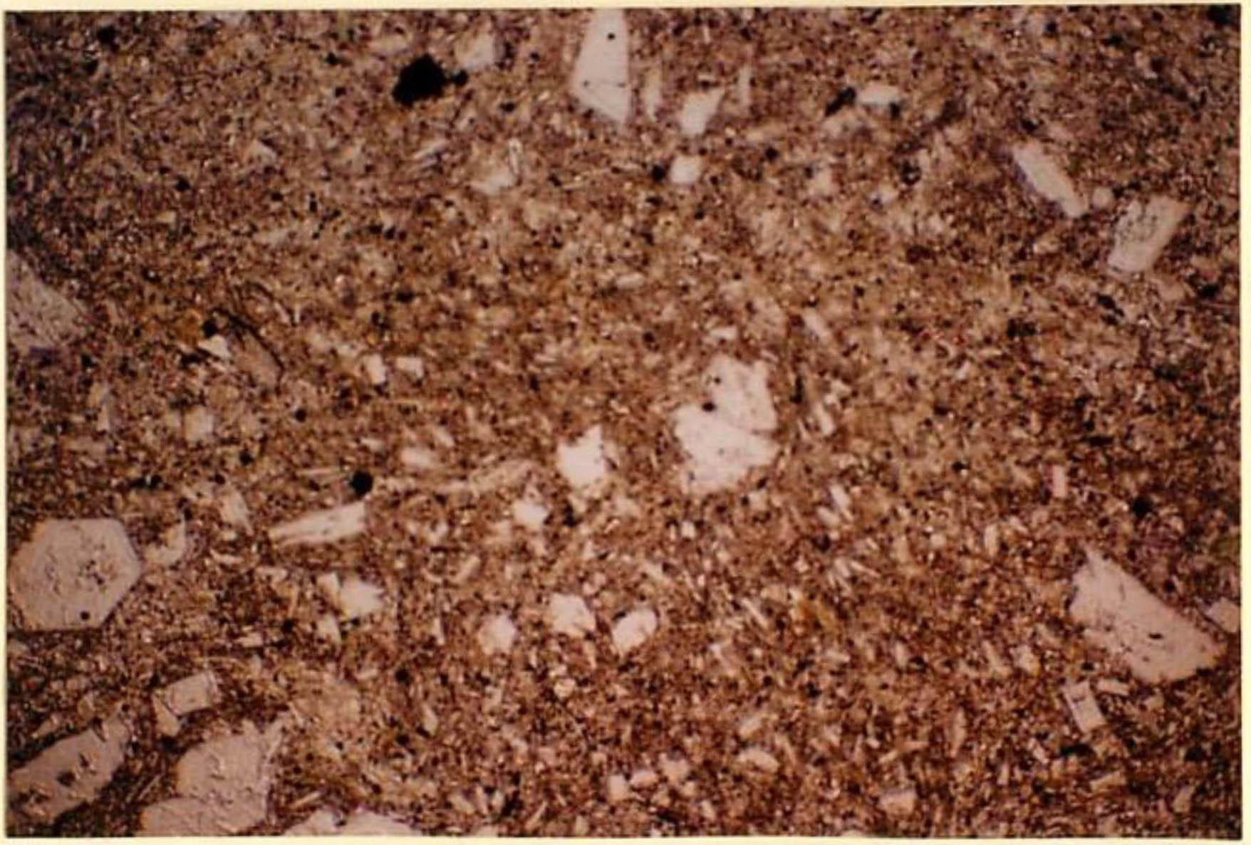 thin section image 2