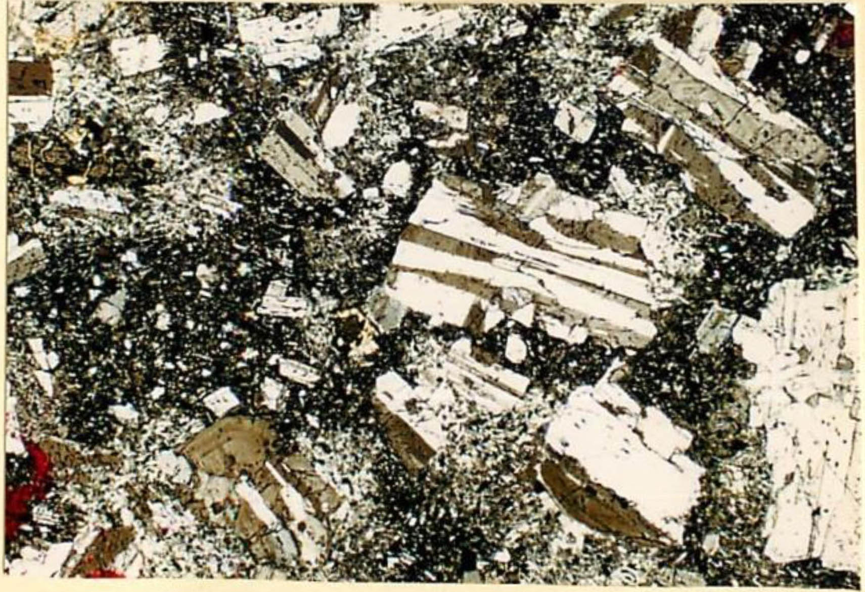 thin section image 2
