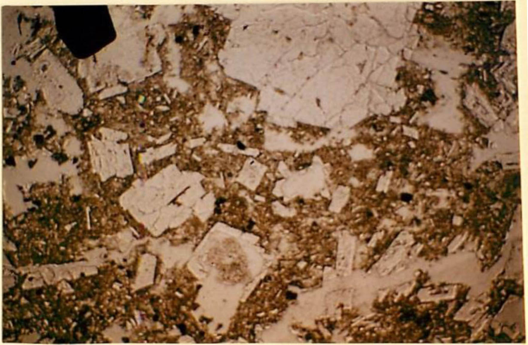 thin section image 2