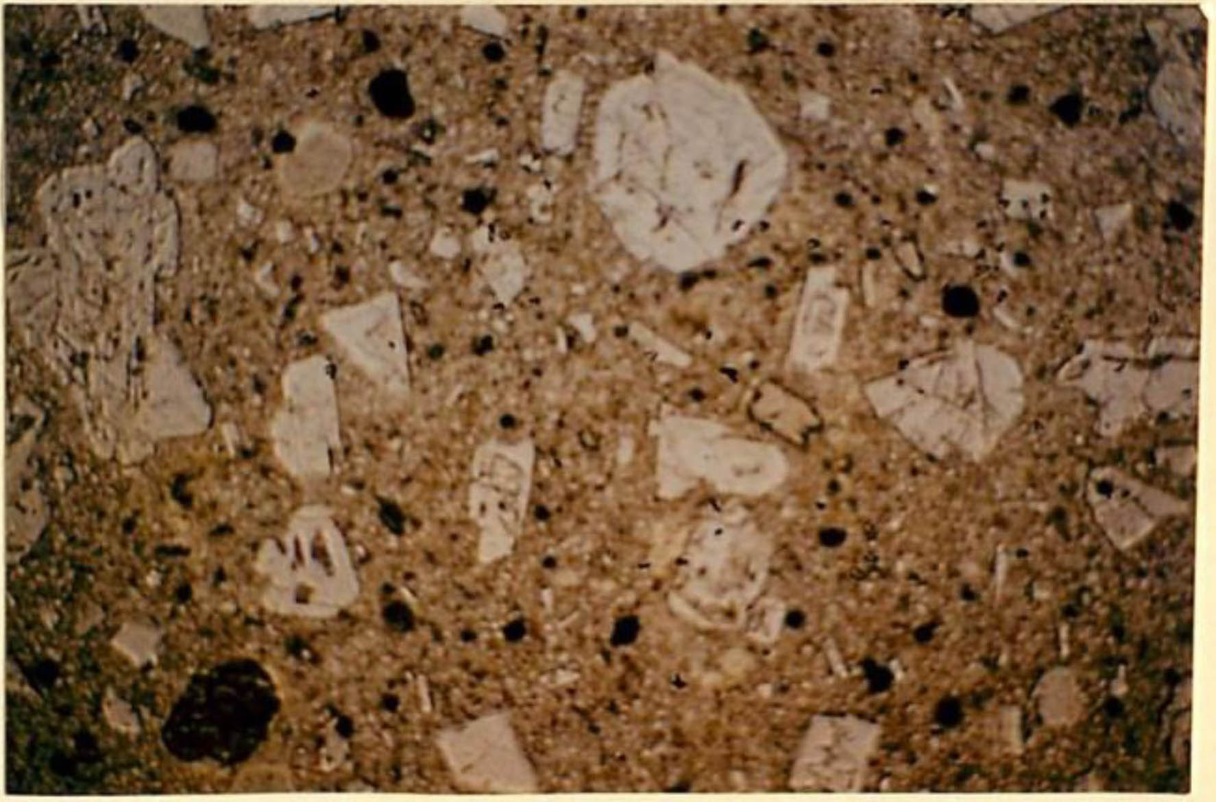 thin section image 2