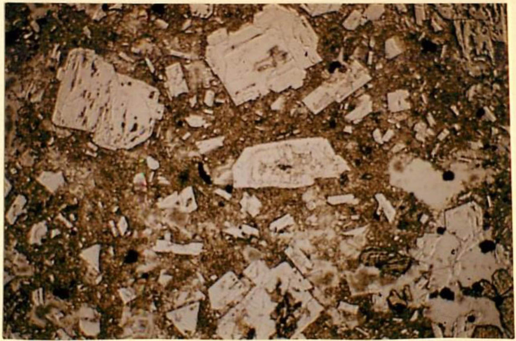 thin section image 2