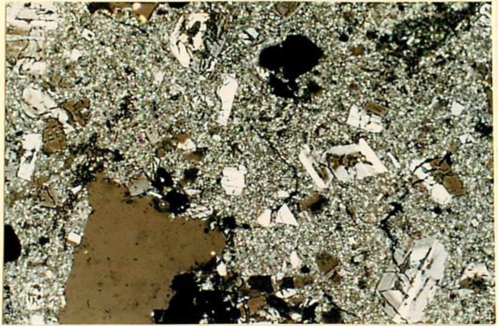 thin section image 1