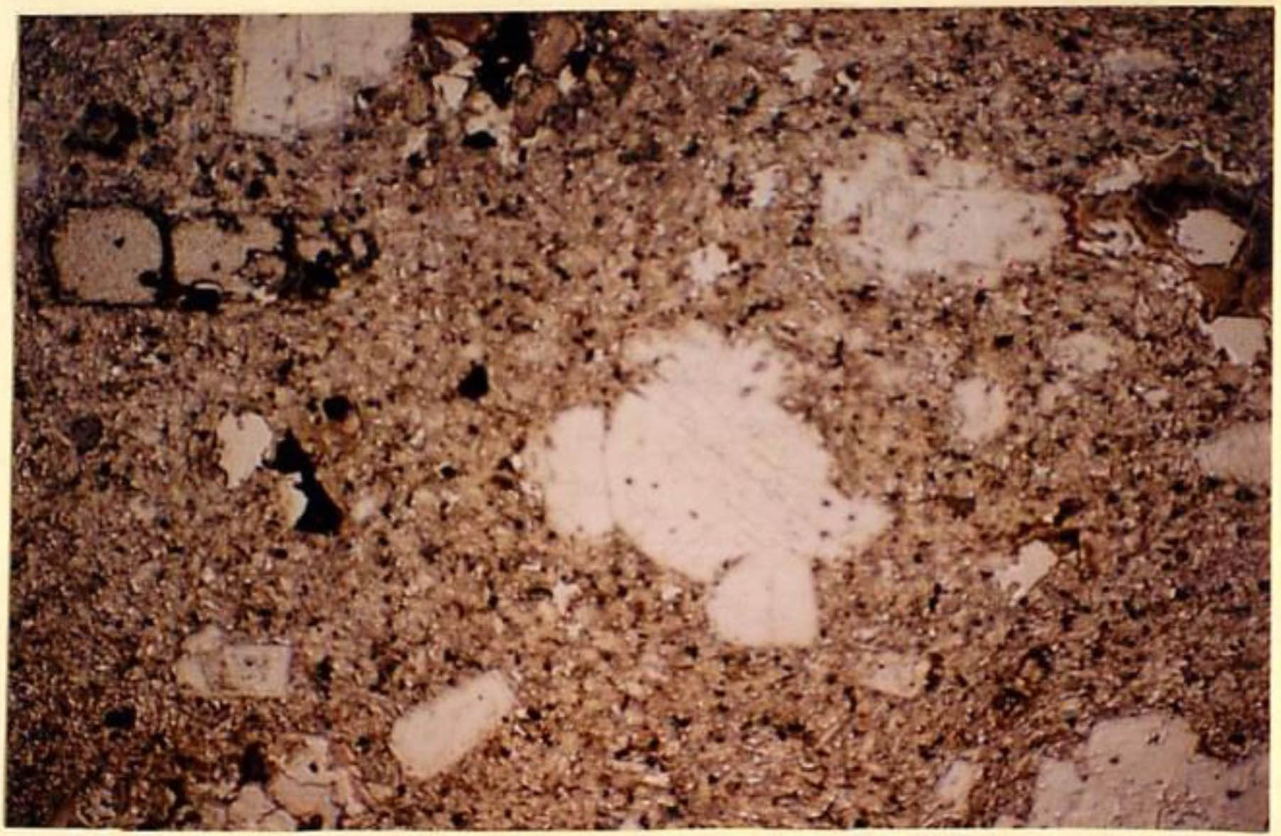 thin section image 2