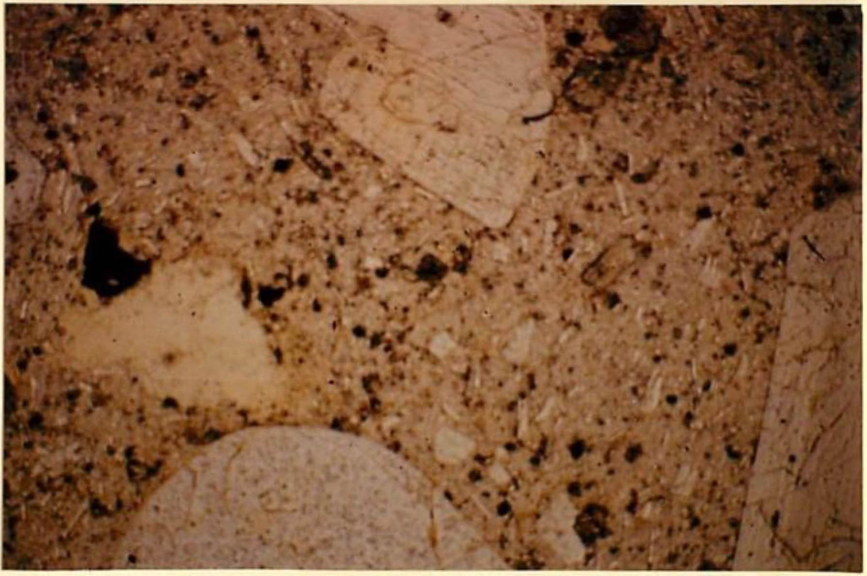 thin section image 2