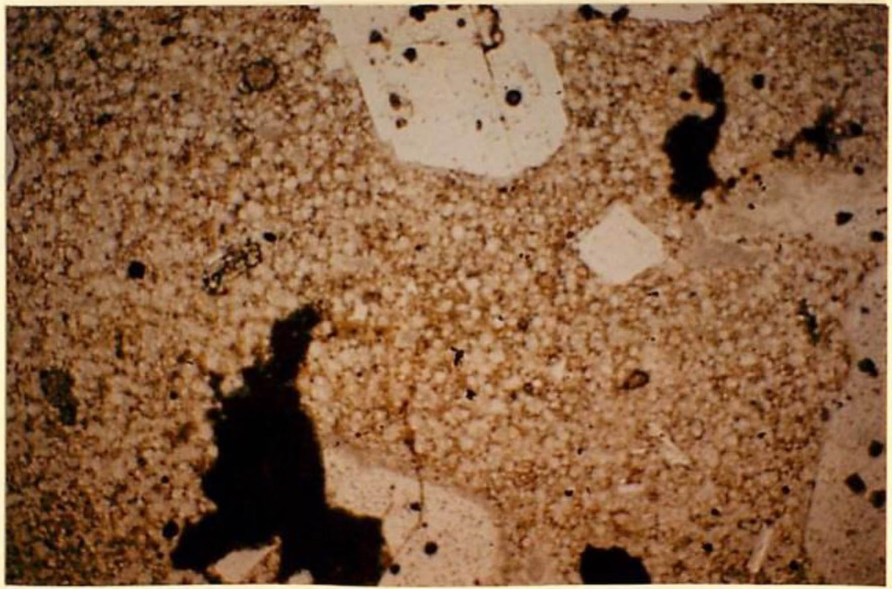 thin section image 2