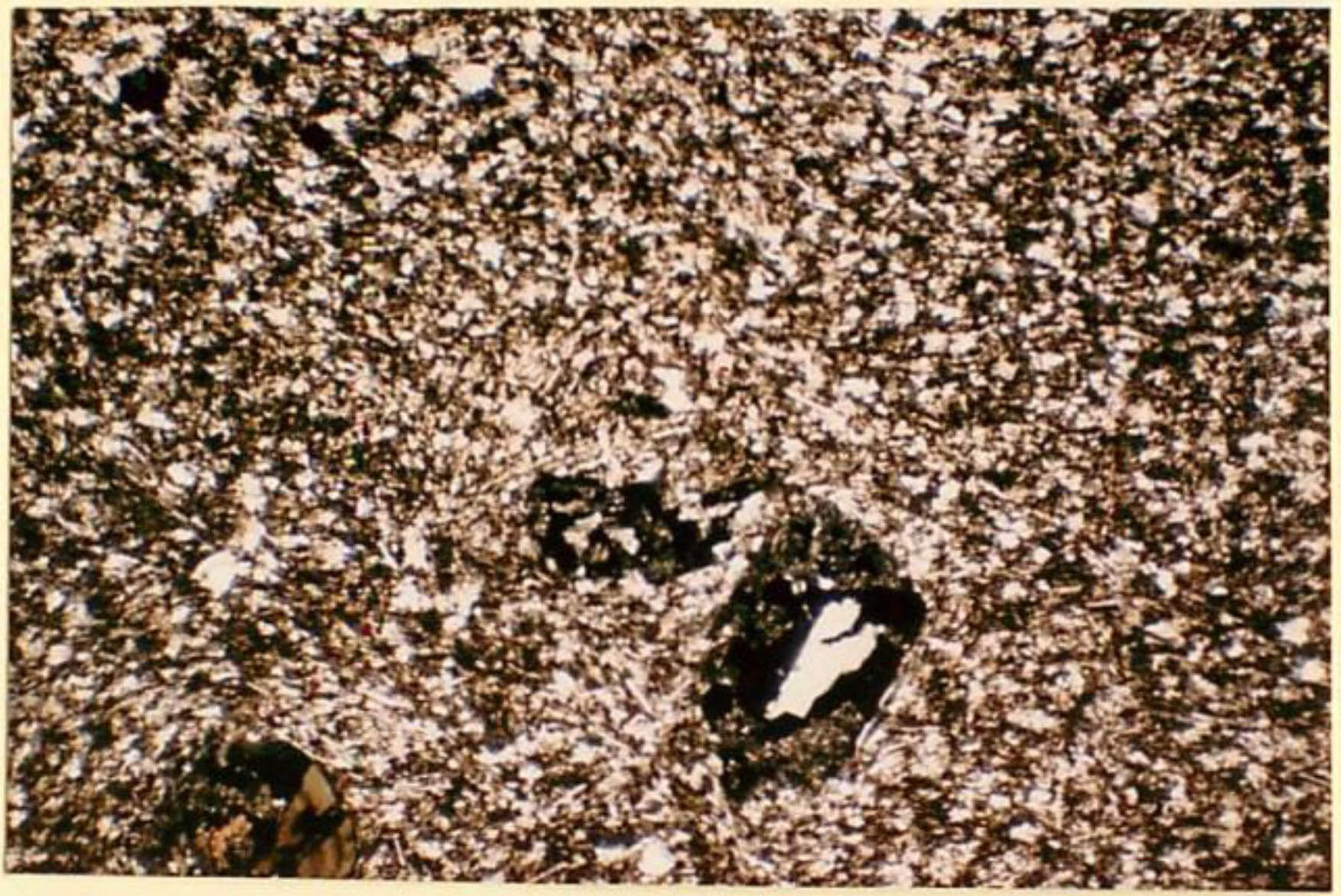 thin section image 1