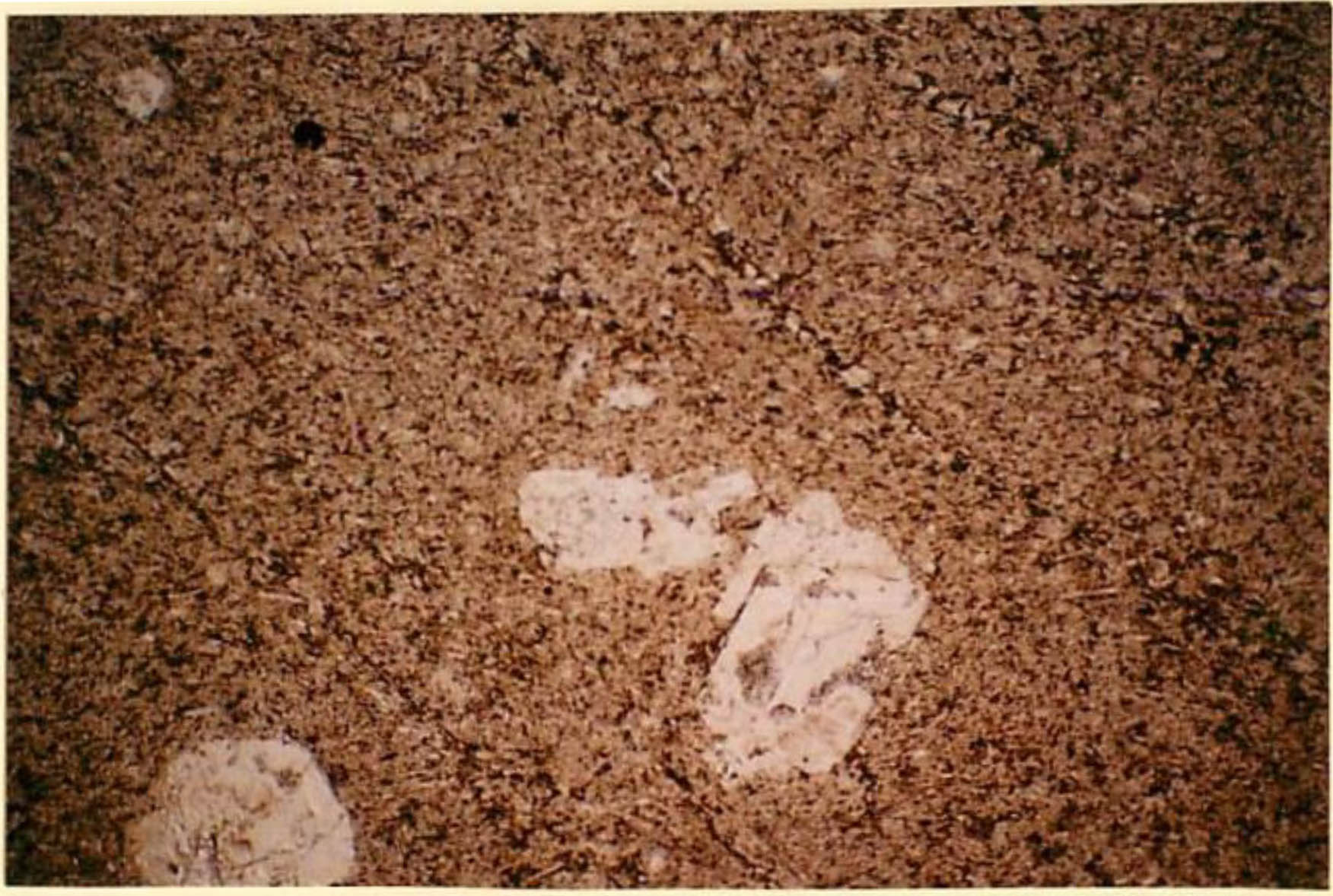 thin section image 2