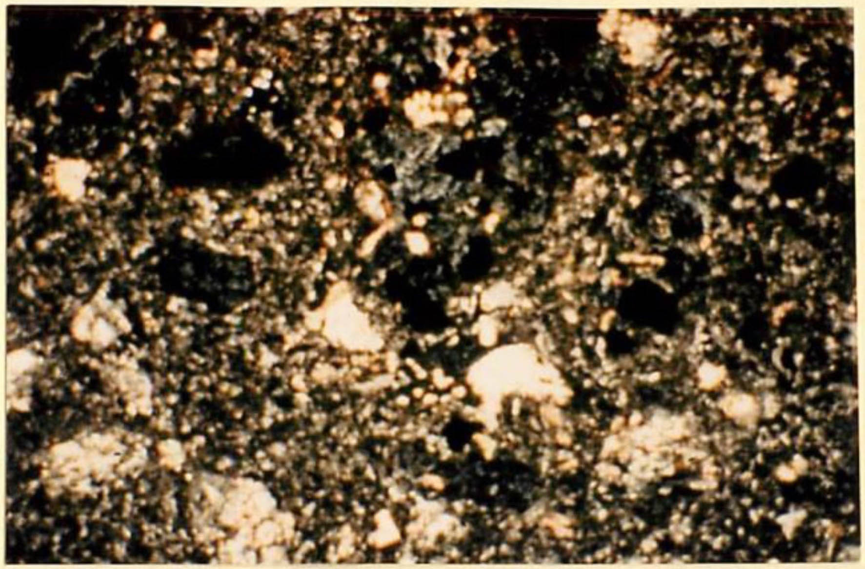 thin section image 1