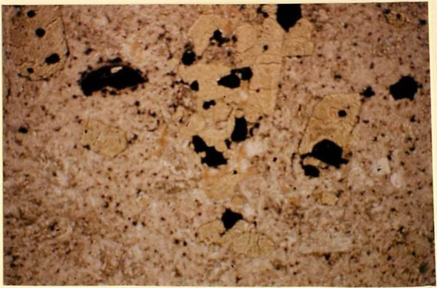 thin section image 2