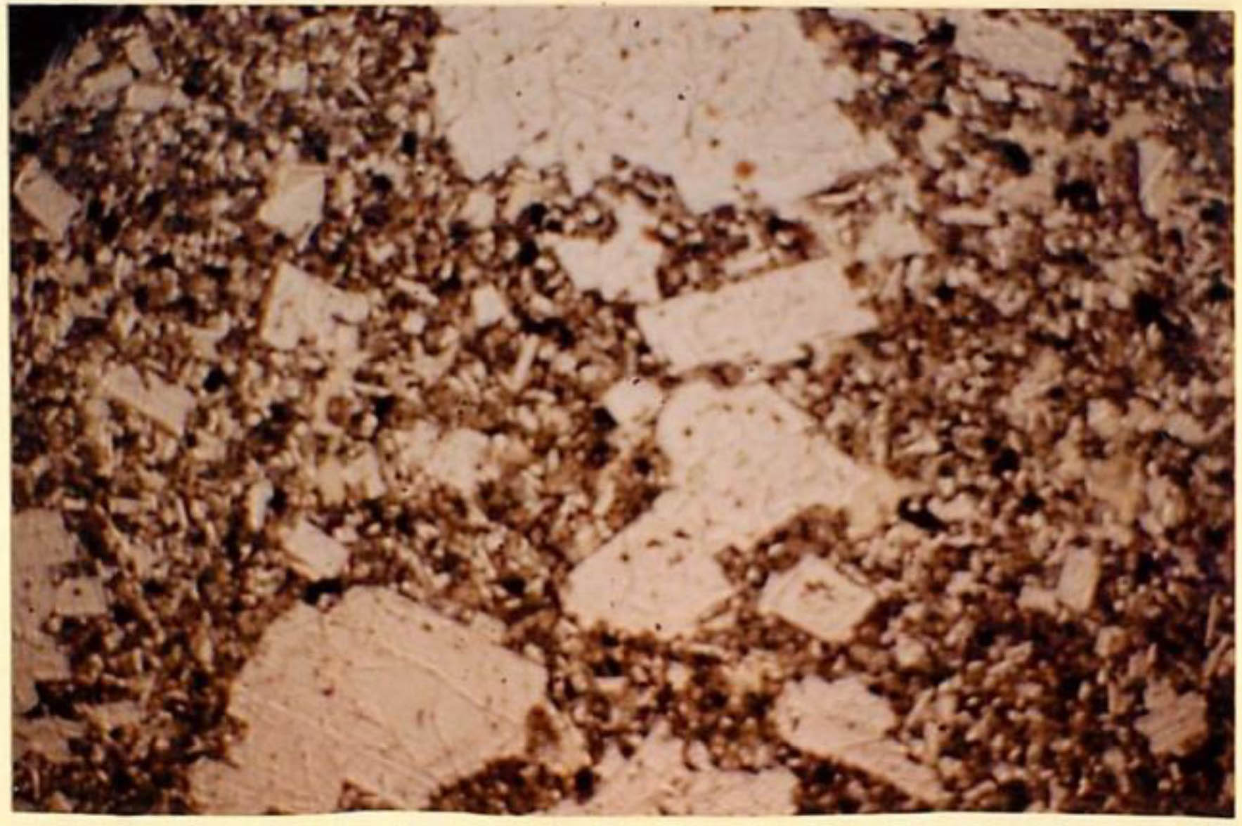 thin section image 2