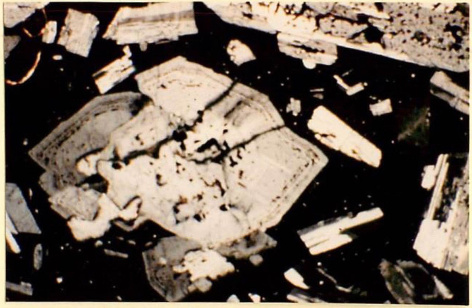 thin section image 1