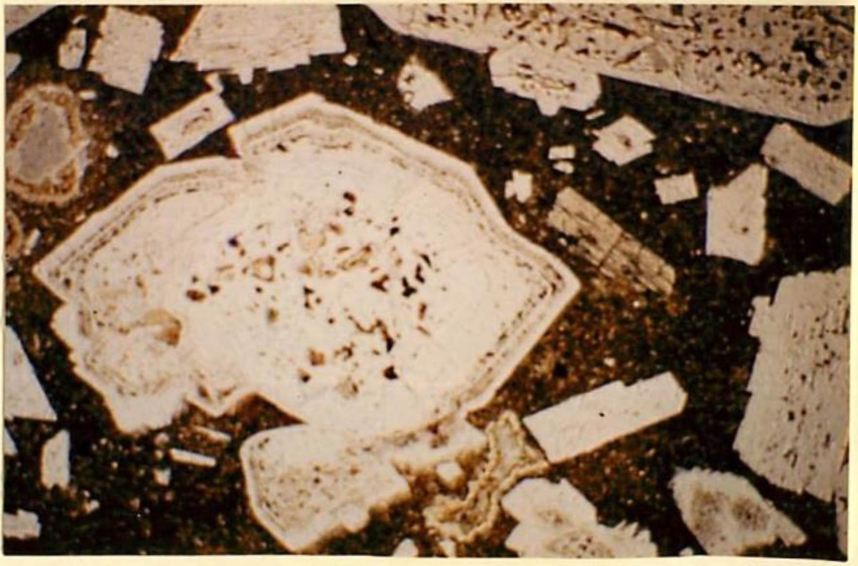 thin section image 2