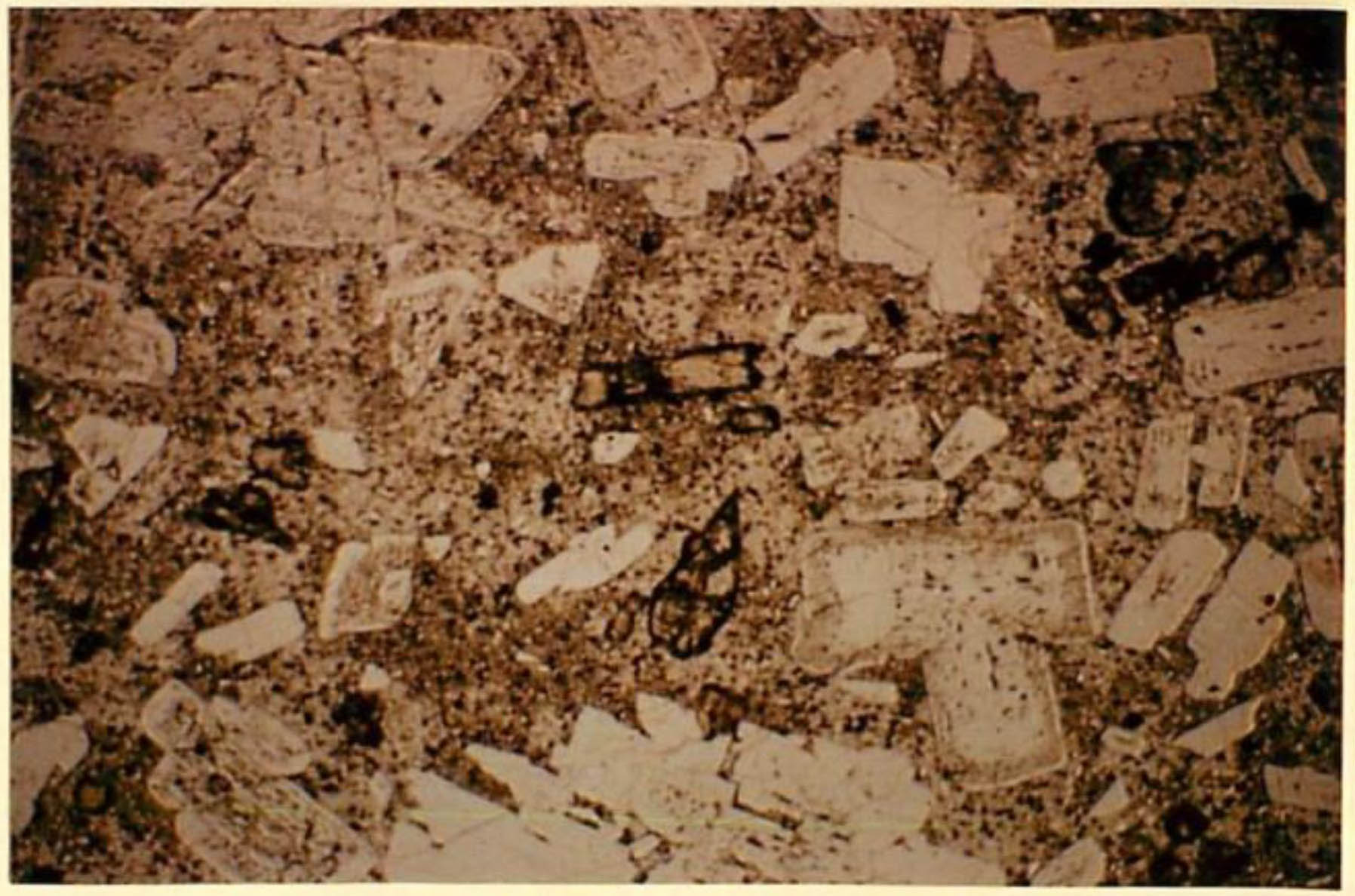 thin section image 2