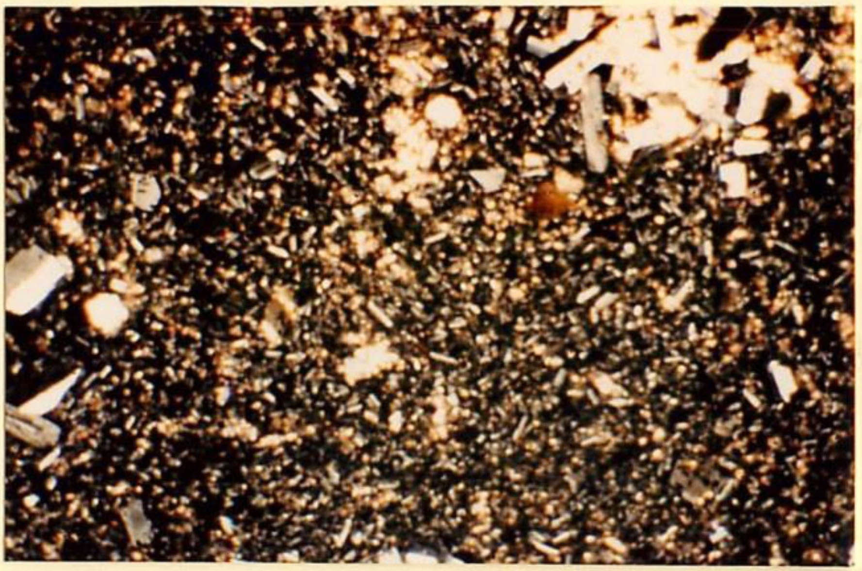 thin section image 1