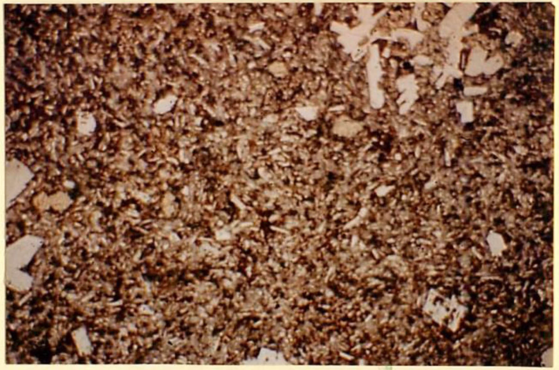 thin section image 2