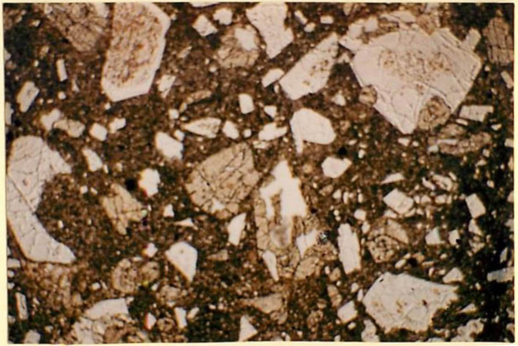 thin section image 2