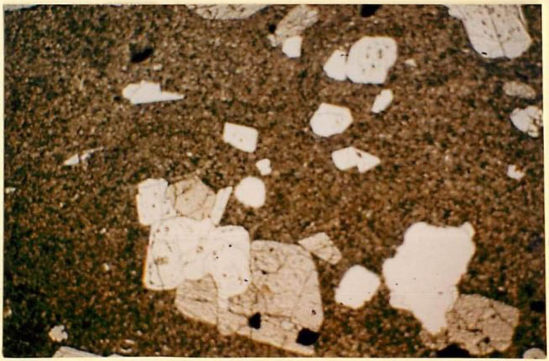 thin section image 2