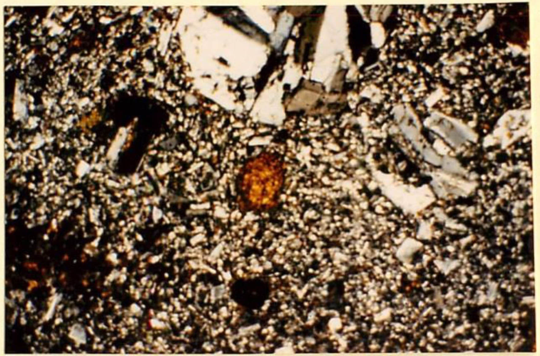 thin section image 1