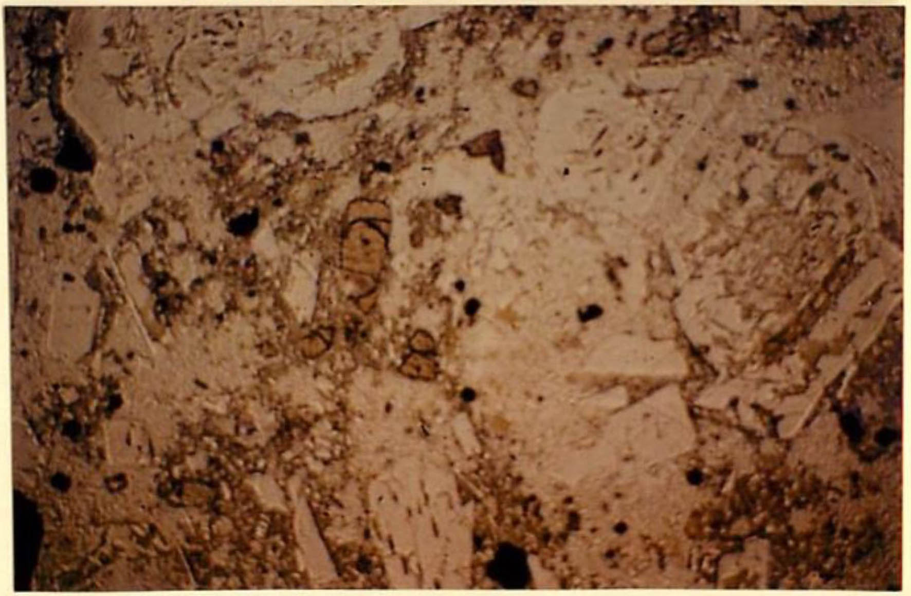 thin section image 2